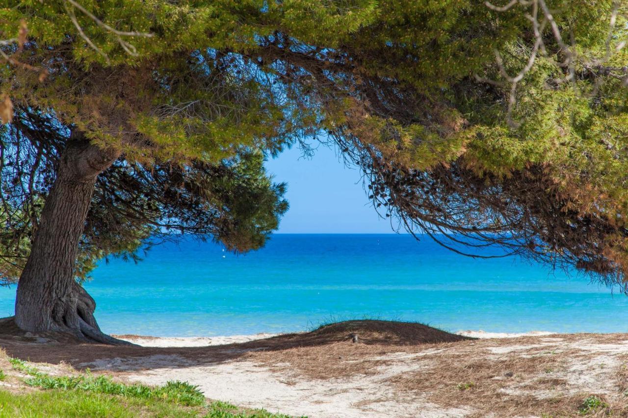 Vila Violeta De Mar Playa de Muro  Exteriér fotografie